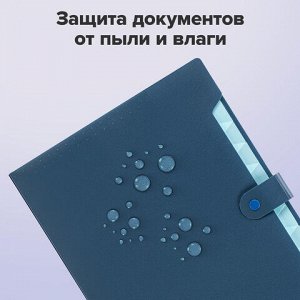 Папка-органайзер на кнопке 12 отделений, BRAUBERG "Extra", А4, синяя с голубым, 271933