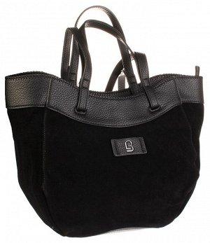 Сумки Baden TG501-01