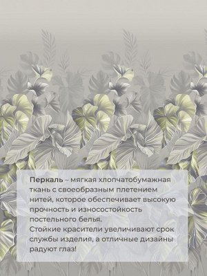 Комплект постельного белья Евромакси, перкаль (Лаймовый свет)