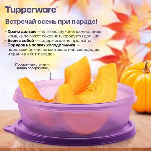 Ёмкость «Хит-парад» (1 л), фиалковая