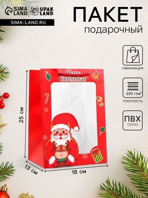 Пакет подарочный новогодний ламинированный, с окном«Дед мороз», 18x25x13 см