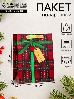 Пакет подарочный новогодний ламинированный «Подарок», 18x23x10 см