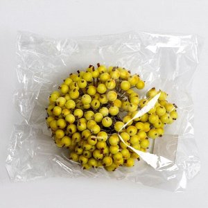 Ягоды для декора, жёлтые, 7x6x7 см, 40 ягод