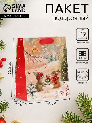 Пакет подарочный новогодний «Зайки», 18x22.3x10 см