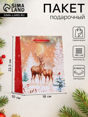 Пакет подарочный новогодний «Олени», 18x22.3x10 см