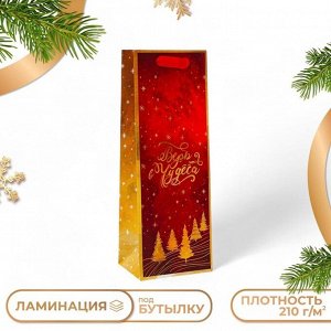 Пакет подарочный новогодний под бутылку «Верь в чудеса», 13x36x10 см