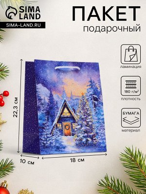 Пакет подарочный новогодний «Зимний дом», 18x22.3x10 см