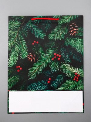 Пакет подарочный новогодний ламинированный, «Шишки», 33x10x42.5 см