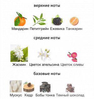 Женские духи Intimate Daydream Women Secret 100мл. Оригинал