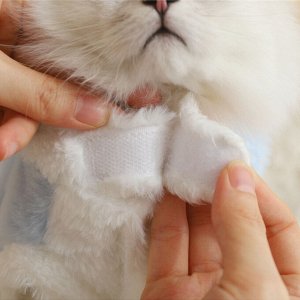 Шуба для котика