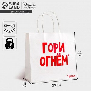 Пакет подарочный крафт, упаковка, «Гори огнем», 22x22x11 см