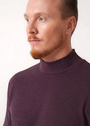 Джемпер. Цвет: бордовый/т.бордовый