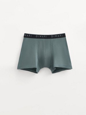 Трусы. Цвет: stormy green-silver black