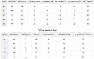 Горнолыжный костюм женский зимний фиолетового цвета 016F