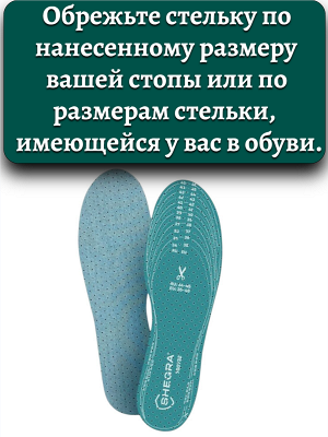 Размерная сетка