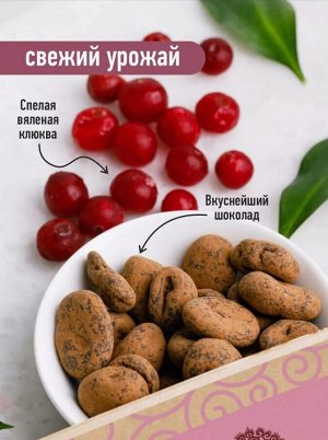 Клюква вяленая в темном шоколаде / 60 г / дой-пак / ТМ Сибирский кедр