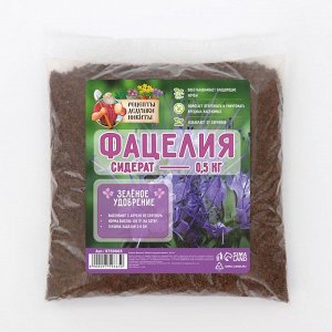 Семена Фацелия «Рецепты дедушки Никиты», 0.5 кг