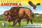 Мир животных Америка раскраска