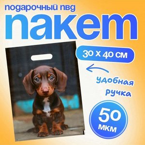 Пакет подарочный «Милая такса», полиэтиленовый с вырубной ручкой, 30x40 см 50 мкм