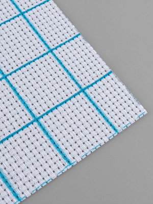 Канва для вышивания, в клетку, №11, 30x20 см, белая