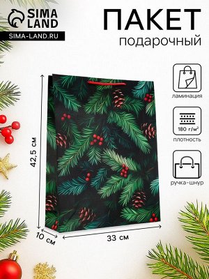 Пакет подарочный новогодний ламинированный, «Шишки», 33x10x42.5 см
