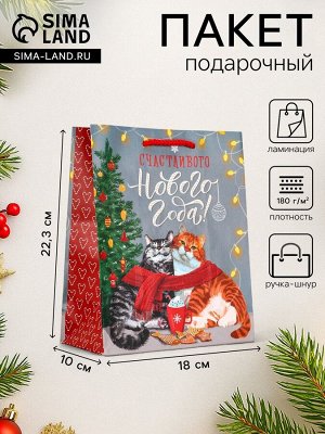 Пакет подарочный новогодний ламинированный «Счастливого нового года», 18x10x22.3 см
