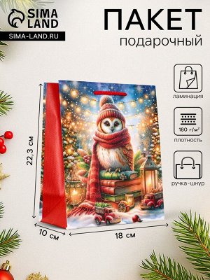 Пакет подарочный новогодний ламинированный, «Сова», 18x10x22.3 см