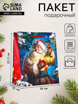 Пакет подарочный новогодний ламинированный, «Дед Мороз», 18x10x22.3 см