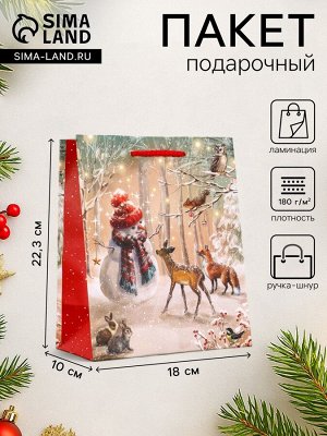 Пакет подарочный новогодний ламинированный, «Встреча друзей», 18x10x22.3 см