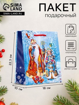Пакет подарочный новогодний ламинированный, «Дед Мороз и Снегурочка», 18x10x22.3 см