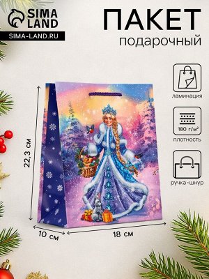 Пакет подарочный новогодний ламинированный, «Снегурочка ждет Деда Мороза», 18x10x22.3 см