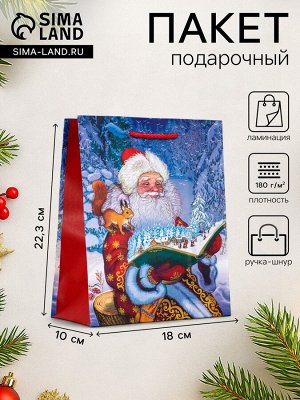 Пакет подарочный новогодний ламинированный, «Дед мороз», 18x10x22.3 см