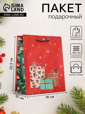 Пакет подарочный новогодний ламинированный «Подарки», 18x10x22.3 см