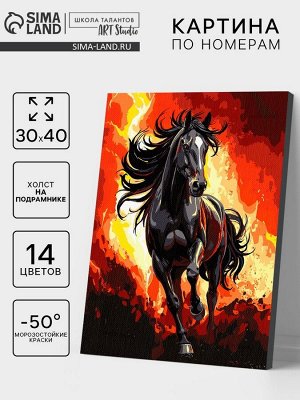 Картина по номерам на холсте «Огненный конь» 30x40 см