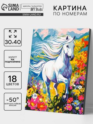 Картина по номерам на холсте «Белый конь» 30x40 см
