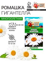 Семена Ромашка &quot;Гигантелла&quot;, 0,01 г