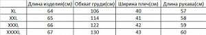 Женский лонгслив PLUS SIZE