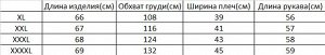 Женский лонгслив с принтом PLUS SIZE