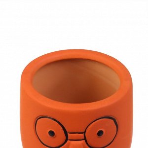 Автополив для комнатных растений «Который выжил», 14x4.6 см, керамика, набор 4 шт., МИКС