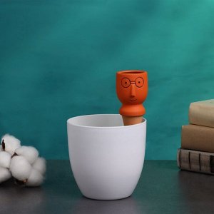 Автополив для комнатных растений «Который выжил», 14x4.6 см, керамика, набор 4 шт., МИКС