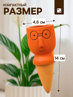 Автополив для комнатных растений «Который выжил», 14x4.6 см, керамика, набор 4 шт., МИКС