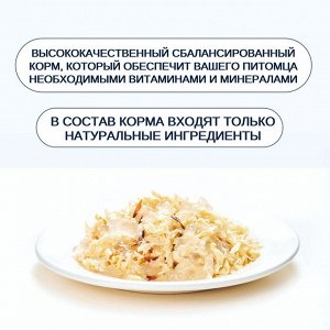 Wanpy Cat Консервы для кошек «Курица с тунцом» 95 г