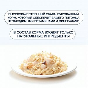 Wanpy Cat Консервы для кошек «Курица с гребешком» 95 г