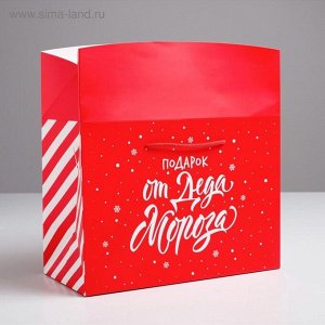 Пакет-коробка новогодний подарочный «Подарок», 28*20*13 см