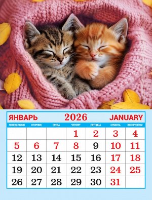 Календарь на магните на 2026 год "Котята"