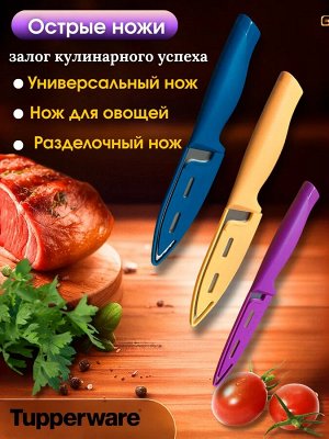 Набор ножей Гурман - Tupperware®.