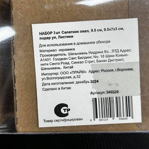 Салатник керамика, овальный, 3 шт, 9.5х3 см, 9.5х7х3 см, подарочная упаковка, Листики, Y4-3223