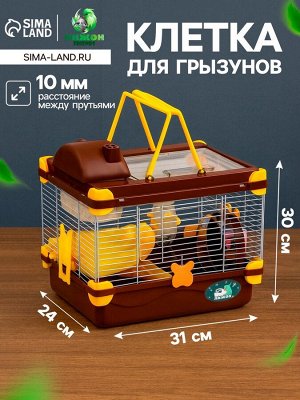 Клетка для грызунов «Пижон», 31x24x30 см, коричневая