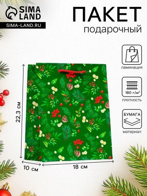 Пакет подарочный новогодний ламинированный «Веточки», 18x22.3x10 см