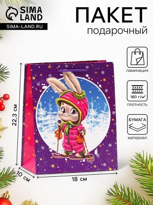 Пакет подарочный новогодний ламинированный «Зайчик лыжник», 18x22.3x10 см